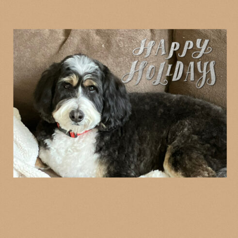 bimmmer happy new year 2026